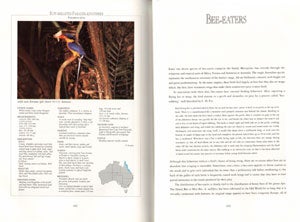 Cuckoos, nightbirds and kingfishers of Australia.