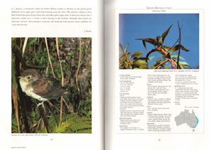 Cuckoos, nightbirds and kingfishers of Australia.