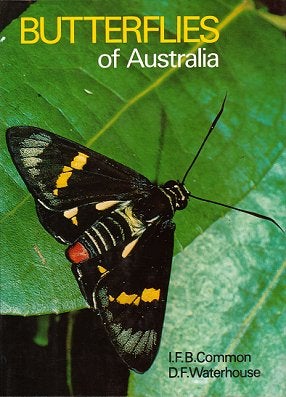 Stock ID 577 Butterflies of Australia. I. F. B. Common, D. F. Waterhouse
