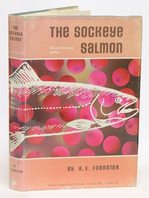 Stock ID 6158 The Sockeye Salmon, Oncorhynchus nerka. R. E. Foerster.