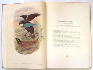 The birds of New Guinea and the adjacent Papuan Islands, including many new species recently discovered in Australia, volume one [facsimile].