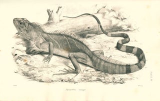 The reptiles of British India.
