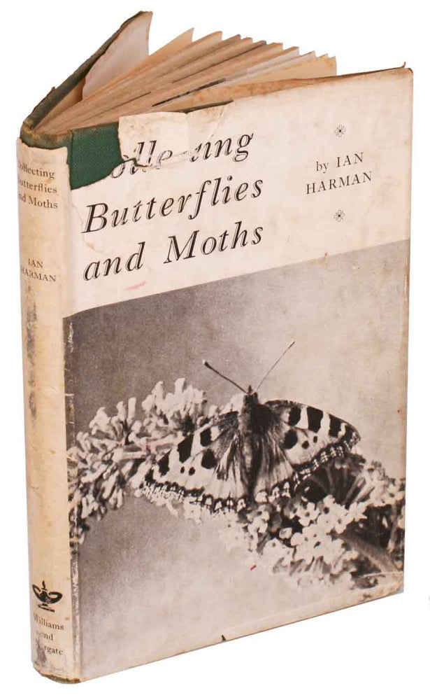 Stock ID 6481 Collecting butterflies and moths. Ian Harman.