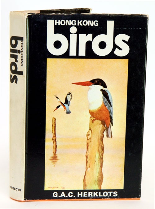 Stock ID 6538 Hong Kong birds. G. A. C. Herklots.