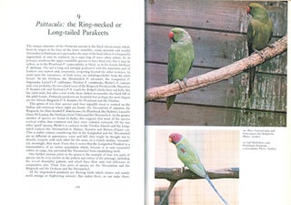 Lovebirds and related parrots.