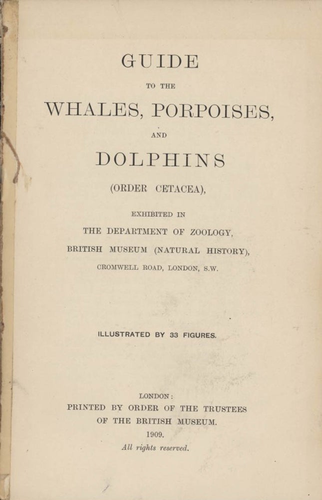 Stock ID 7127 Guide to the whales, porpoises, and dolphins (Order Cetacea), exhibited in the Department of Zoology British Museum Natural History). R. Lydekker.