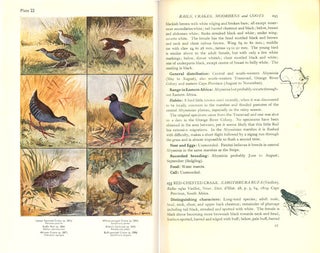 Birds of eastern and north eastern Africa.