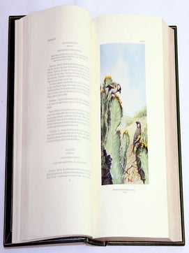 Birds of Arabia. Edition de Luxe.