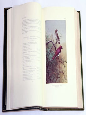 Birds of Arabia. Edition de Luxe.