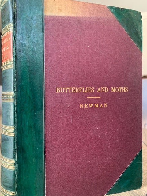 Stock ID 7477 An illustrated natural history of British butterflies and moths. Edward Newman.