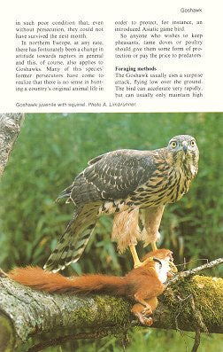 Collins guide to the birds of prey of Britain and Europe, North Africa and the Middle East.
