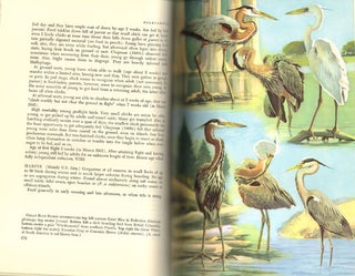 Handbook of North American birds, Volume I: Loons through flamingos.