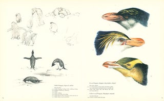 Edward Wilson's birds of the Antarctic.
