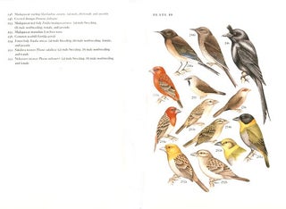 Guide to the birds of Madagascar.