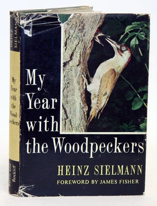 Stock ID 8040 My year with the woodpeckers. Heinz Sielmann