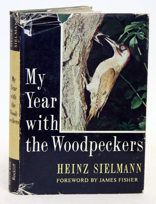Stock ID 8040 My year with the woodpeckers. Heinz Sielmann.