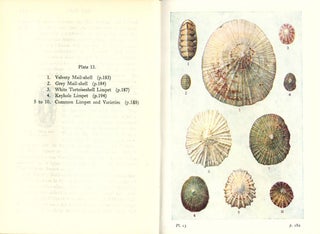 Shell life: an introduction to the British Mollusca.