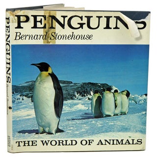 Stock ID 8198 Penguins. Bernard Stonehouse