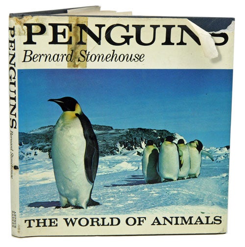 Stock ID 8198 Penguins. Bernard Stonehouse.