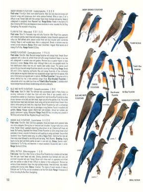 Birds of Hong Kong and South China.