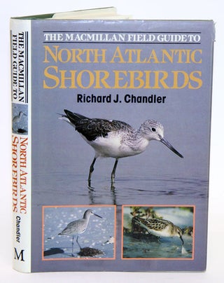 Stock ID 846 North Atlantic shorebirds: a photographic guide to the waders of western Europe and...