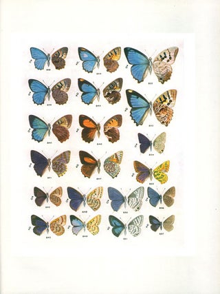 The butterflies of Australia: monograph of the Australian Rhopalocera ...
