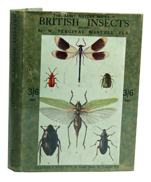 Stock ID 8503 British insects (general]. W. Percival Westell.