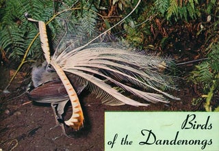 Stock ID 8528 Birds of the Dandenongs: an occurrence record. W. Roy Wheeler