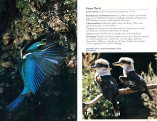 The Reed field guide to New Zealand wildlife.