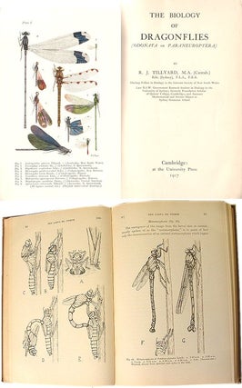 The biology of dragonflies (Odonata or Paraneuroptera).