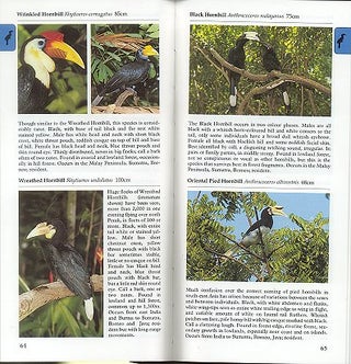 A photographic guide to birds of Peninsula Malaysia and Singapore.