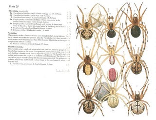 Spiders of Britain and Northern Europe.