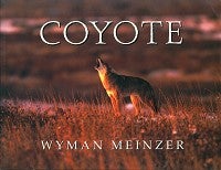 Stock ID 8994 Coyote. Wyman Meinzer