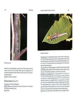 Geckoes: biology, husbandry and reproduction.