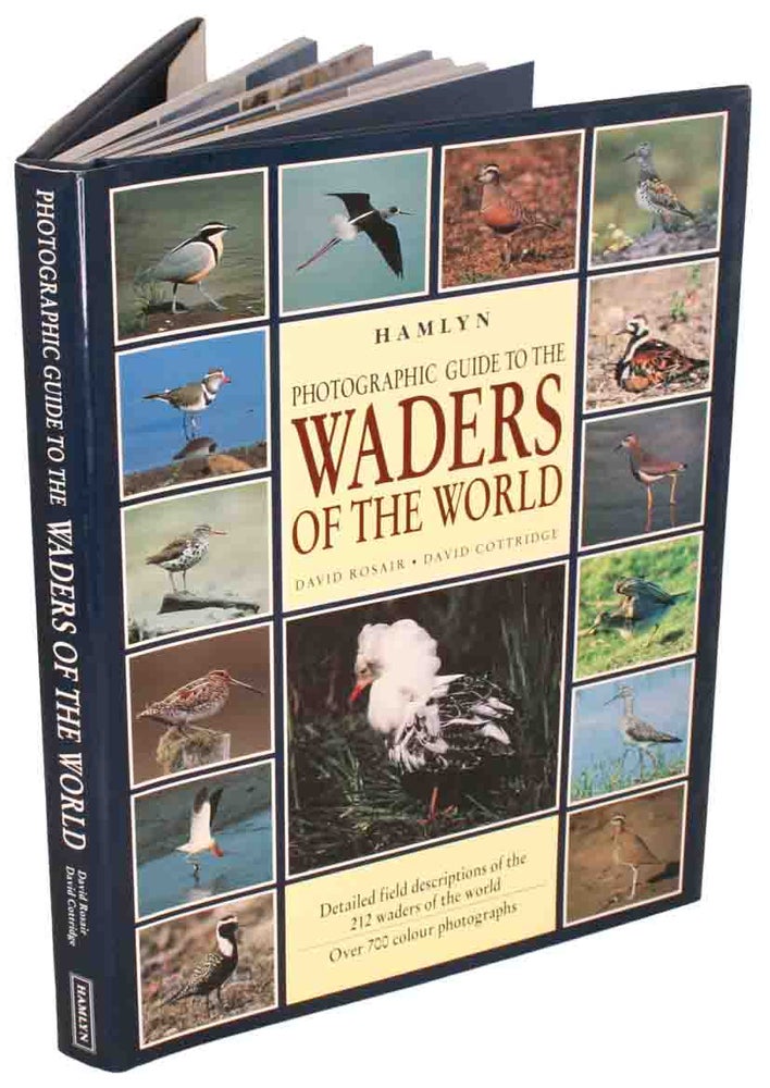 Stock ID 9118 Hamlyn photographic guide to the waders of the world. David Rosair, David Cottridge.