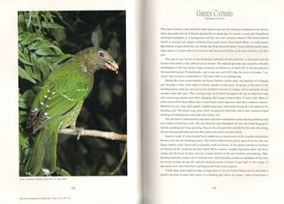 Finches, bowerbirds and other passerines of Australia.