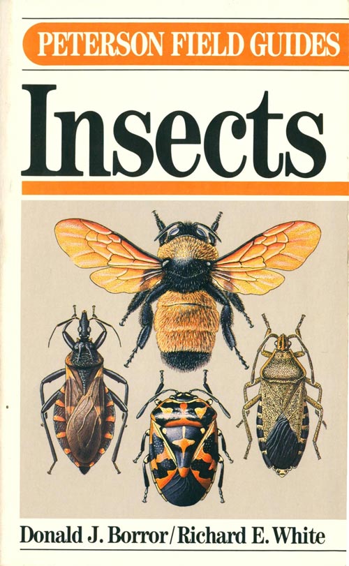 Stock ID 916 A field guide to insects: America north of Mexico. Donald J. Borror, Richard E. White.