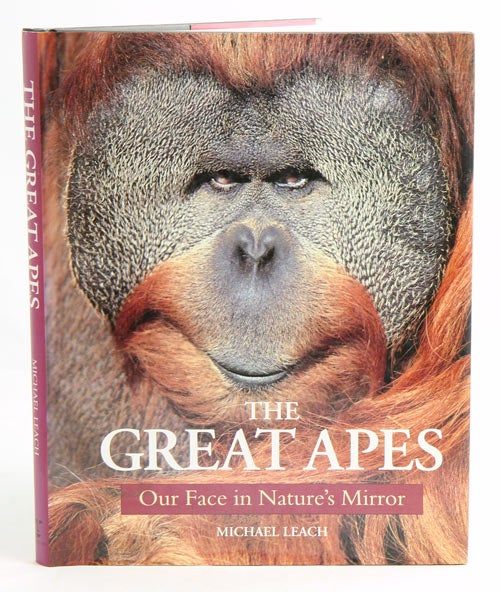 Stock ID 9184 The great apes: our face in nature's mirror. Michael Leach.