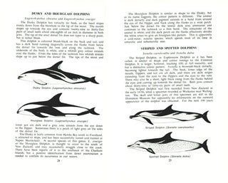 New Zealand whales and dolphins.