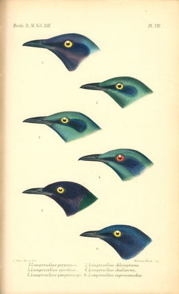 Catalogue of the Passeriformes, or perching birds, in the Collection of the British Museum. Sturniformes, containing the families Artamidæ, Sturnidæ, Ploceidæ, Alaudidæ. Also the families Atrichiidæ and Menuridæ.
