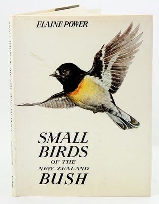 Stock ID 9436 Small birds of the New Zealand bush. Elaine Power