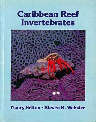 Stock ID 9562 Caribbean reef invertebrates. Nancy Sefton, Steven K. Webster