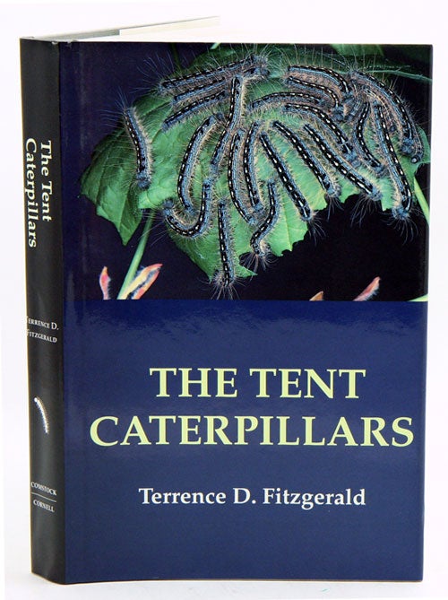 Stock ID 9599 The Tent Caterpillars. Terrence D. Fitzgerald.