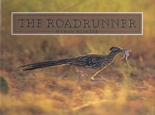 Stock ID 9745 The Roadrunner. Wyman Meinzer