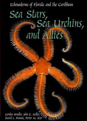 Stock ID 9899 Sea stars, sea urchins and allies: Echinoderms of Florida and the Caribbean. Gordon...