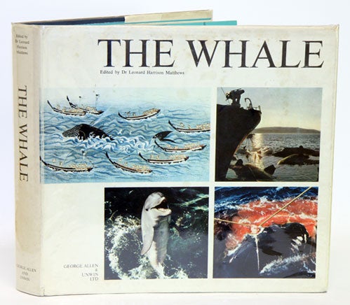 Stock ID 992 The whale. Leonard Harrison Matthews.